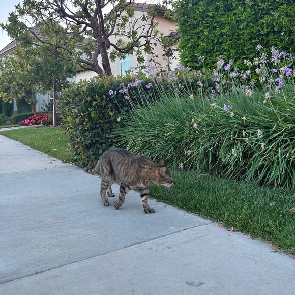 Meet your Posher, Mikayla - Picture 1 of 1